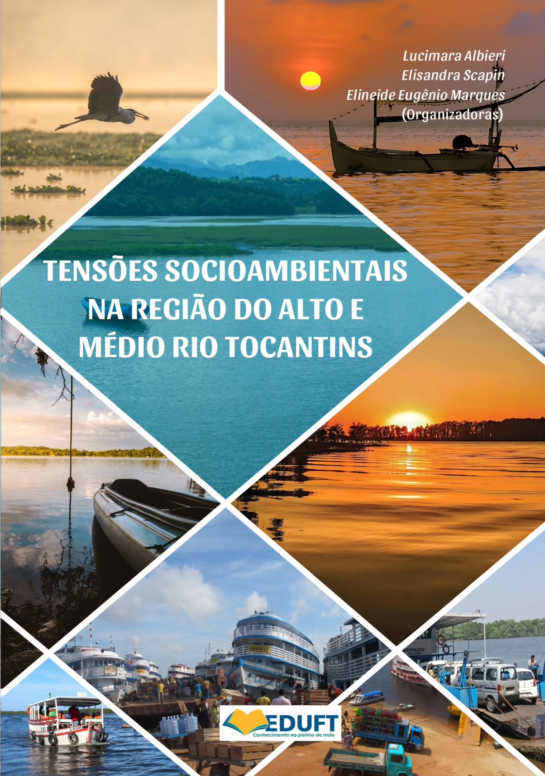 					Visualizar v. 41 n. 1 (1): Tensões socioambientais na região do alto e médio rio Tocantins
				