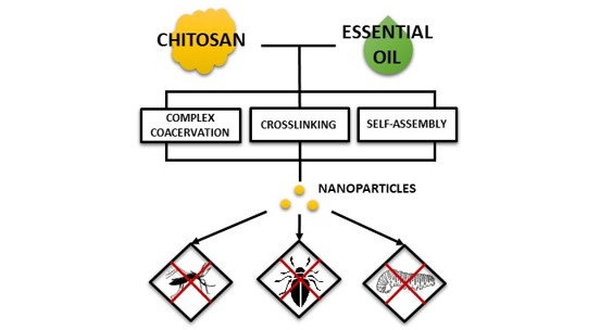Potential application of chitosan-based nanoparticles containing essential oils against mosquitoes, moths and beetles