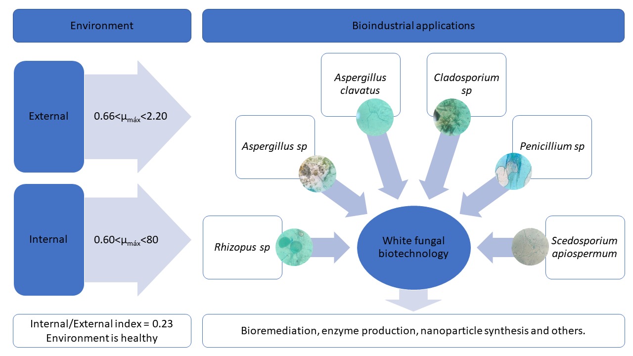 Journal of Biotechnology and Biodiversity