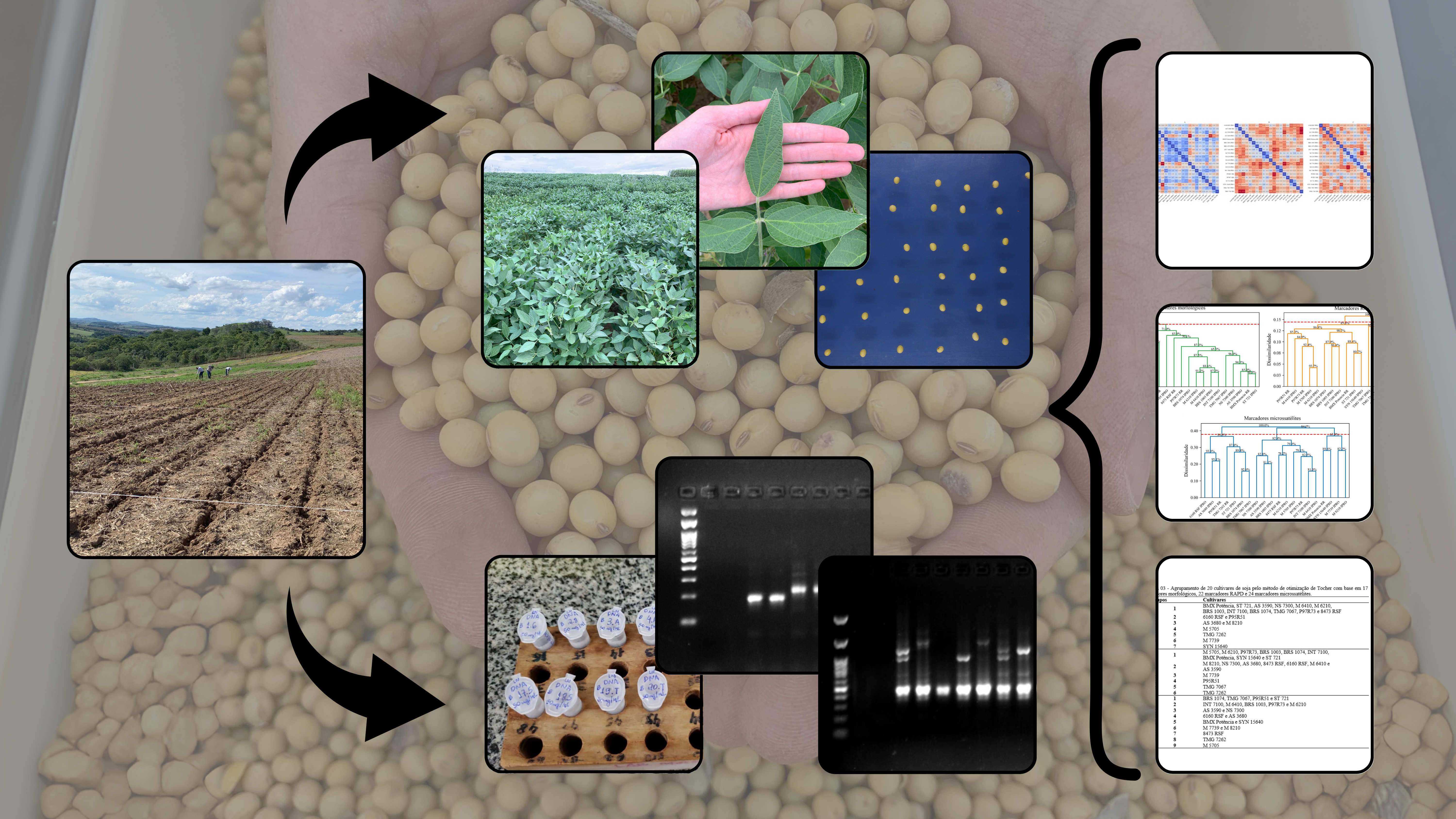 Journal of Biotechnology and Biodiversity
