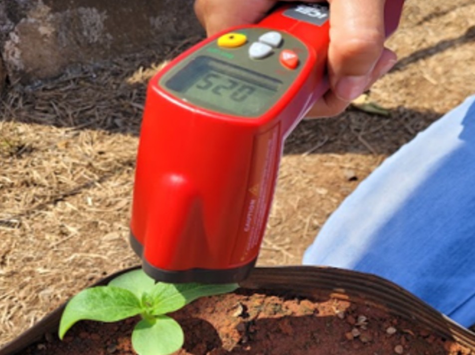 Journal of Biotechnology and Biodiversity