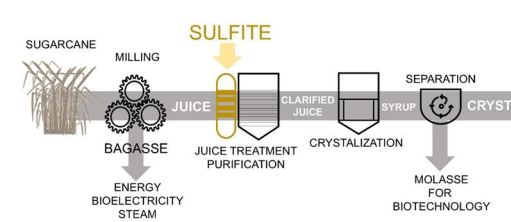 Journal of Biotechnology and Biodiversity